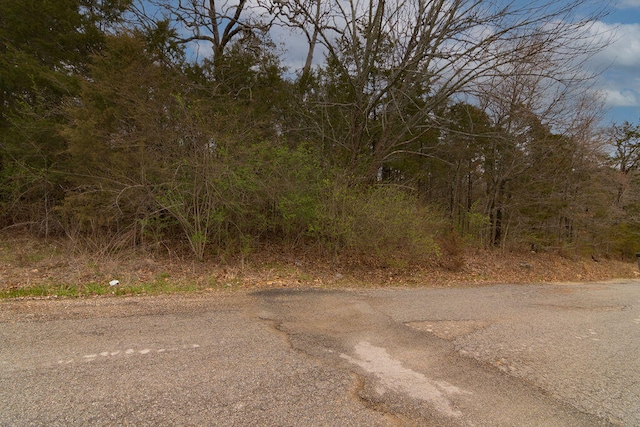 Listing photo 3 for LOT2 W Gate Rd, Merriam Woods MO 65740