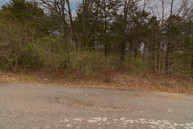 Listing photo 2 for LOT2 W Gate Rd, Merriam Woods MO 65740