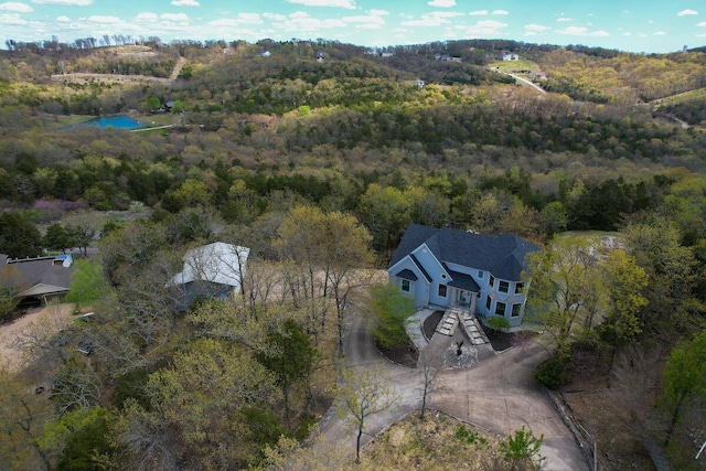 36 Randall Dr, Branson, MO 65616 - photo 43