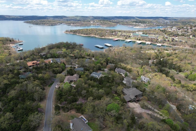 36 Randall Dr, Branson, MO 65616 - photo 42