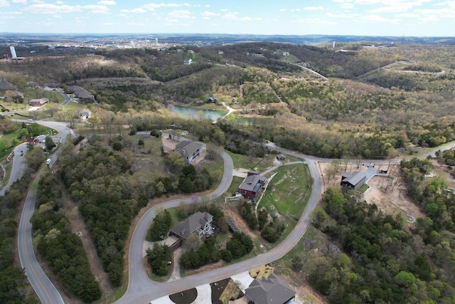 36 Randall Dr, Branson, MO 65616 - photo 46