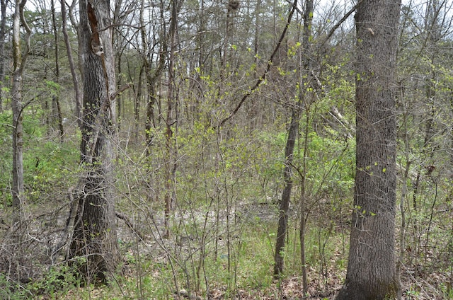 Listing photo 3 for LOT26 Poplar Rd, Merriam Woods MO 65740