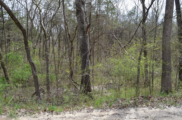 LOT26 Poplar Rd, Merriam Woods MO, 65740 land for sale