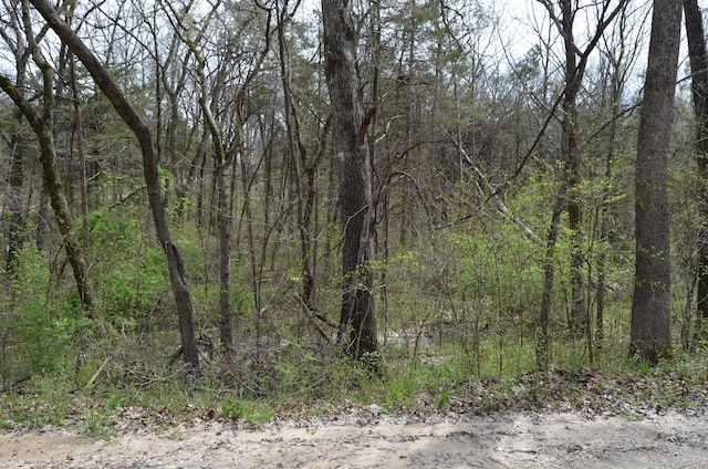 Listing photo 2 for LOT26 Poplar Rd, Merriam Woods MO 65740