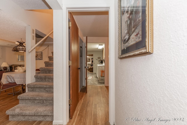 hall featuring hardwood / wood-style flooring and a textured ceiling