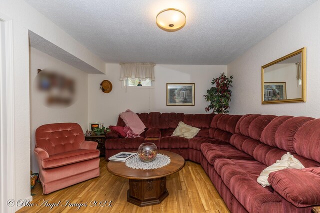 4565 State Route Cc, West Plains, MO 65775 - living room with a textured ceiling and light wood-style floors