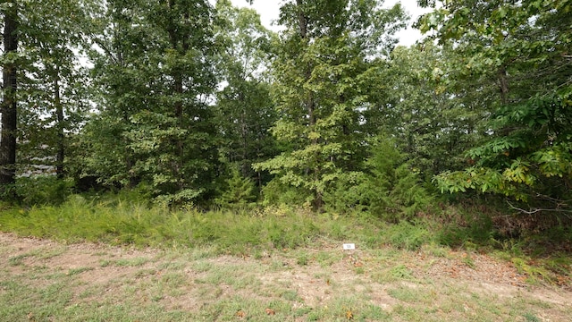 1173 Emory Creek Blvd, Branson MO, 65616 land for sale