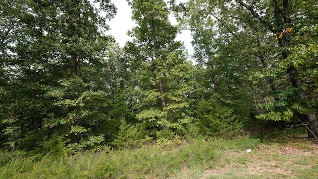 Listing photo 3 for 1173 Emory Creek Blvd, Branson MO 65616