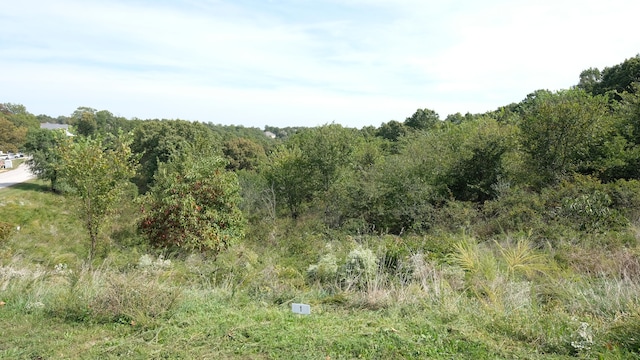 374 Emory Creek Rd, Branson MO, 65616 land for sale