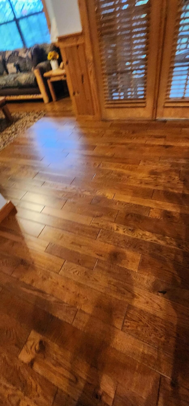 room details featuring hardwood / wood-style floors