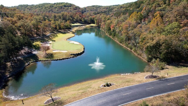 LOT27 Forest Lake Dr, Branson West, MO 65737