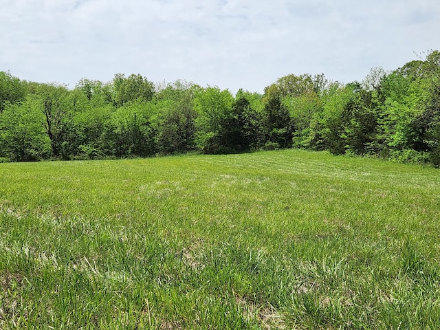 000 River Pass Dr Unit 2, Marshfield MO, 65706 land for sale