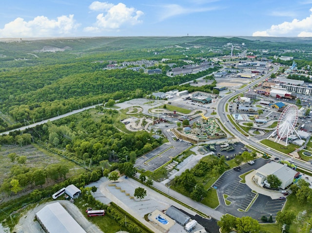 3342 W 76 Country Blvd, Branson, MO 65616