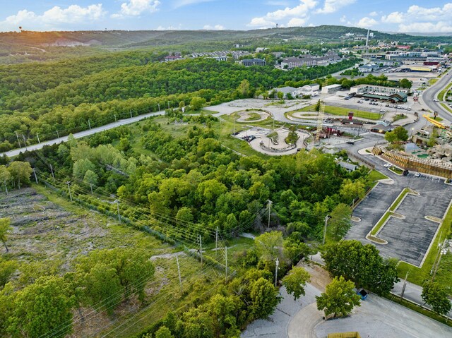 3342 W 76 Country Blvd, Branson, MO 65616
