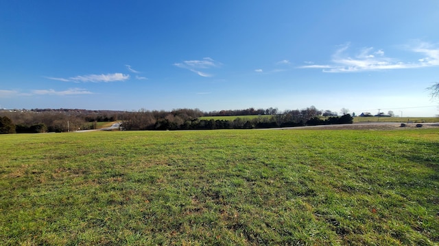 6555 S Lock Ln Unit 2, Republic, MO 65738