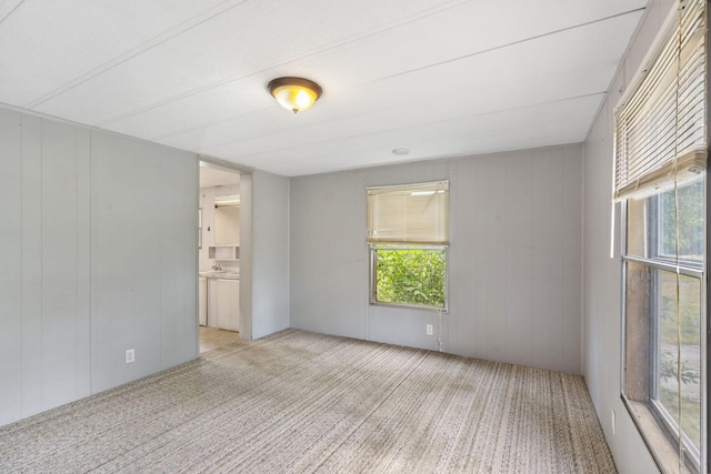 carpeted spare room featuring wood walls and plenty of natural light