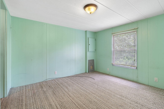 carpeted empty room with wood walls