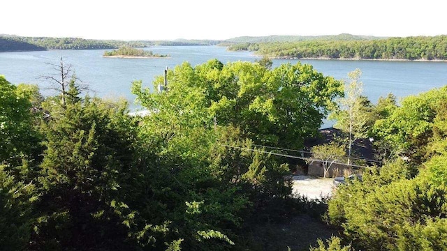 Listing photo 3 for 000LOT30 Jackson Hollow Rd, Galena MO 65656