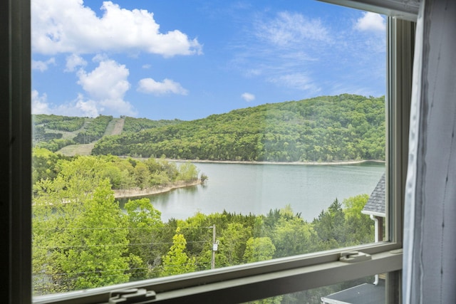 water view featuring a wooded view