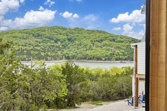 property view of mountains featuring a wooded view and a water view