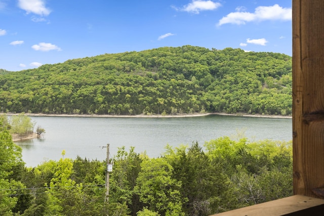 water view with a view of trees
