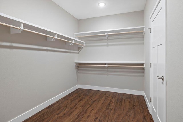 spacious closet featuring dark wood-type flooring