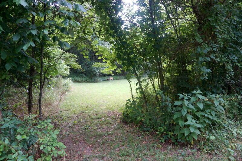 000 Hummingbird Ln, Branson, MO 65616