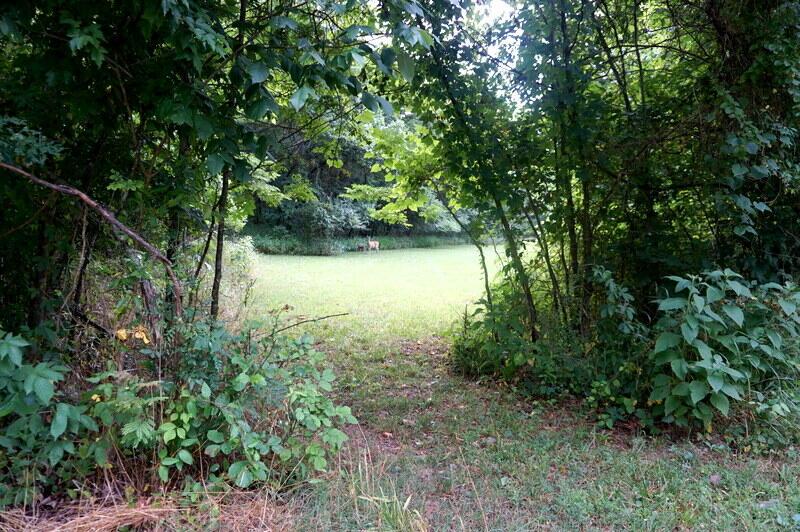 000 Hummingbird Ln, Branson, MO 65616