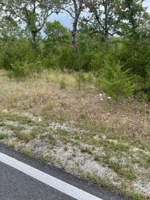 LOT129 Beechwood Dr, Branson West, MO 65737 - photo 5
