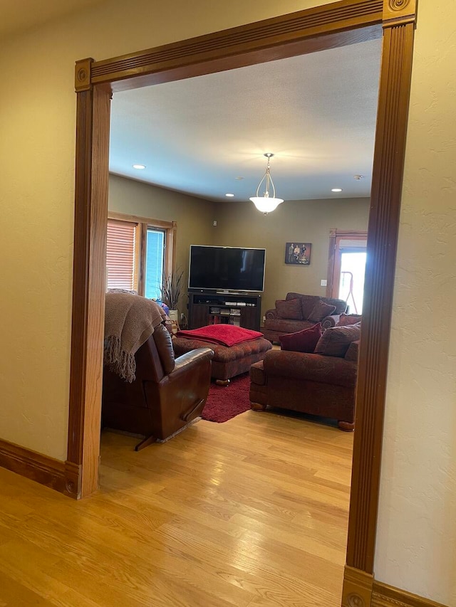 living room featuring light hardwood / wood-style flooring