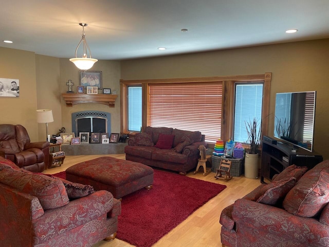 living room featuring a tile fireplace and wood-type flooring