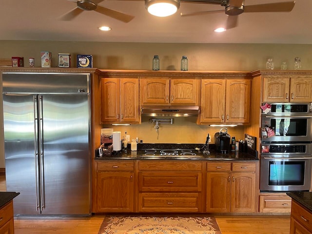 kitchen featuring dark stone counters, appliances with stainless steel finishes, light hardwood / wood-style flooring, and ceiling fan