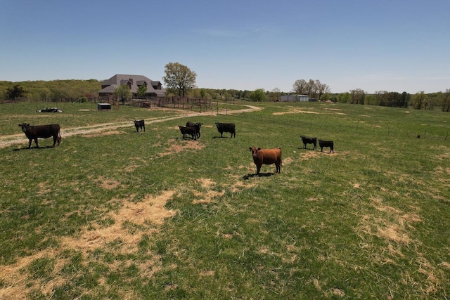 view of yard with a rural view