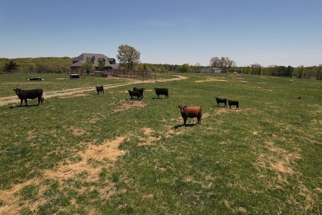 1179 County Road 1050, Willow Springs, MO 65793 - view of yard featuring a rural view