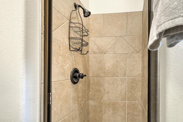 interior details featuring walk in shower