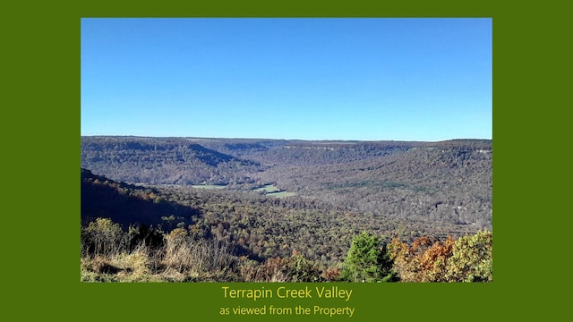 property view of mountains