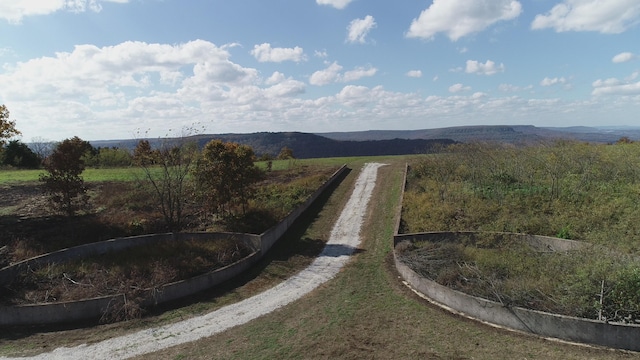 view of yard with a mountain view