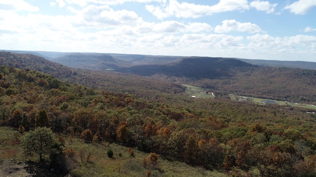 view of mountain feature