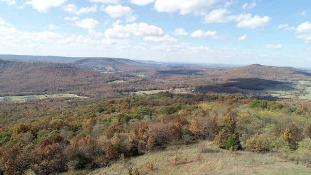 property view of mountains