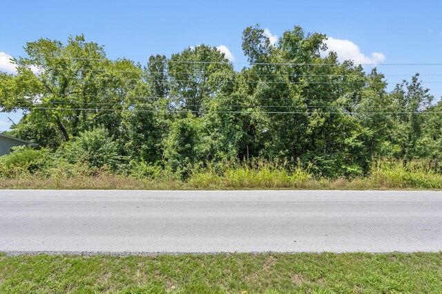 LOT8 Trail Ridge Dr, Kimberling City, MO 65686 - photo 4