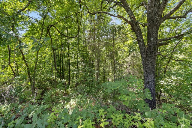 LOT8 Trail Ridge Dr, Kimberling City, MO 65686 - photo 5