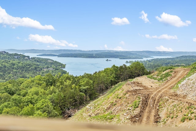 property view of water featuring a forest view