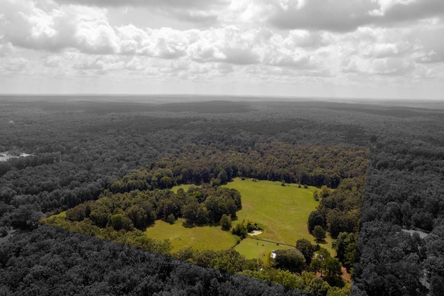 822 County Road 160, Fremont, MO 63941 - drone / aerial view with a forest view