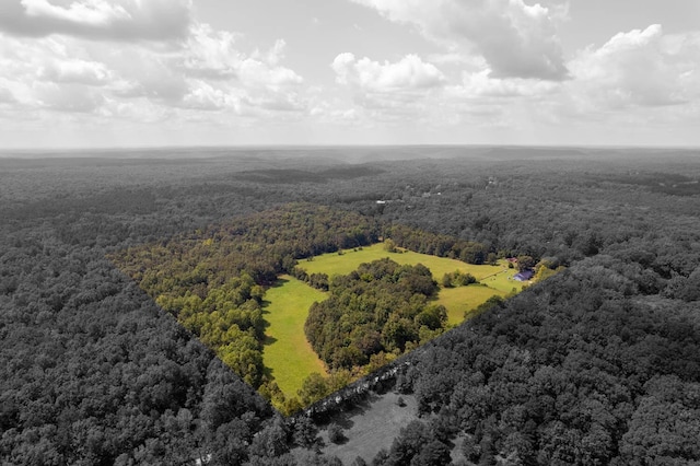 822 County Road 160, Fremont, MO 63941 - birds eye view of property with a forest view