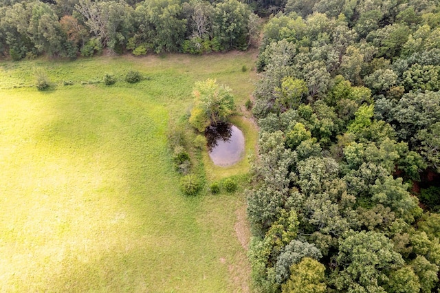 822 County Road 160, Fremont, MO 63941 - birds eye view of property with a forest view