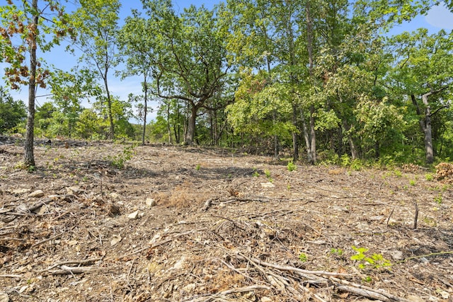 view of local wilderness