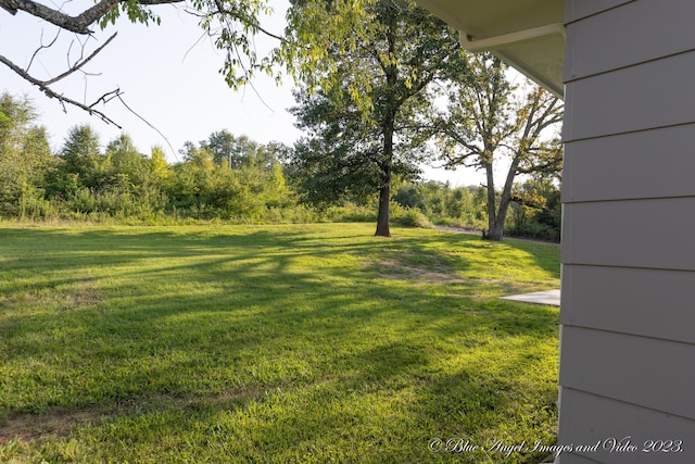 view of yard
