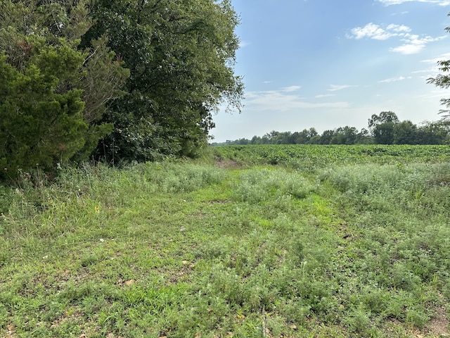 000 Elder, Pierce City, MO 65723