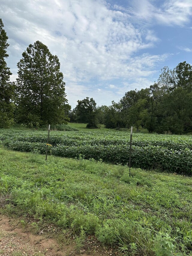 000 Elder, Pierce City, MO 65723