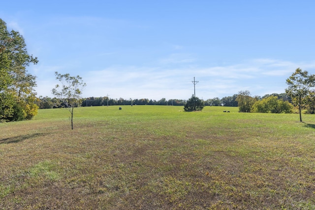 view of yard featuring a rural view